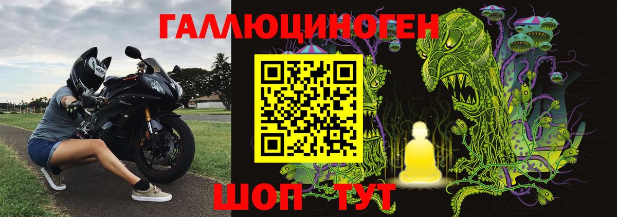Галлюциногенные грибы GOLDEN TEACHER  Вход с VPN  Белореченск 